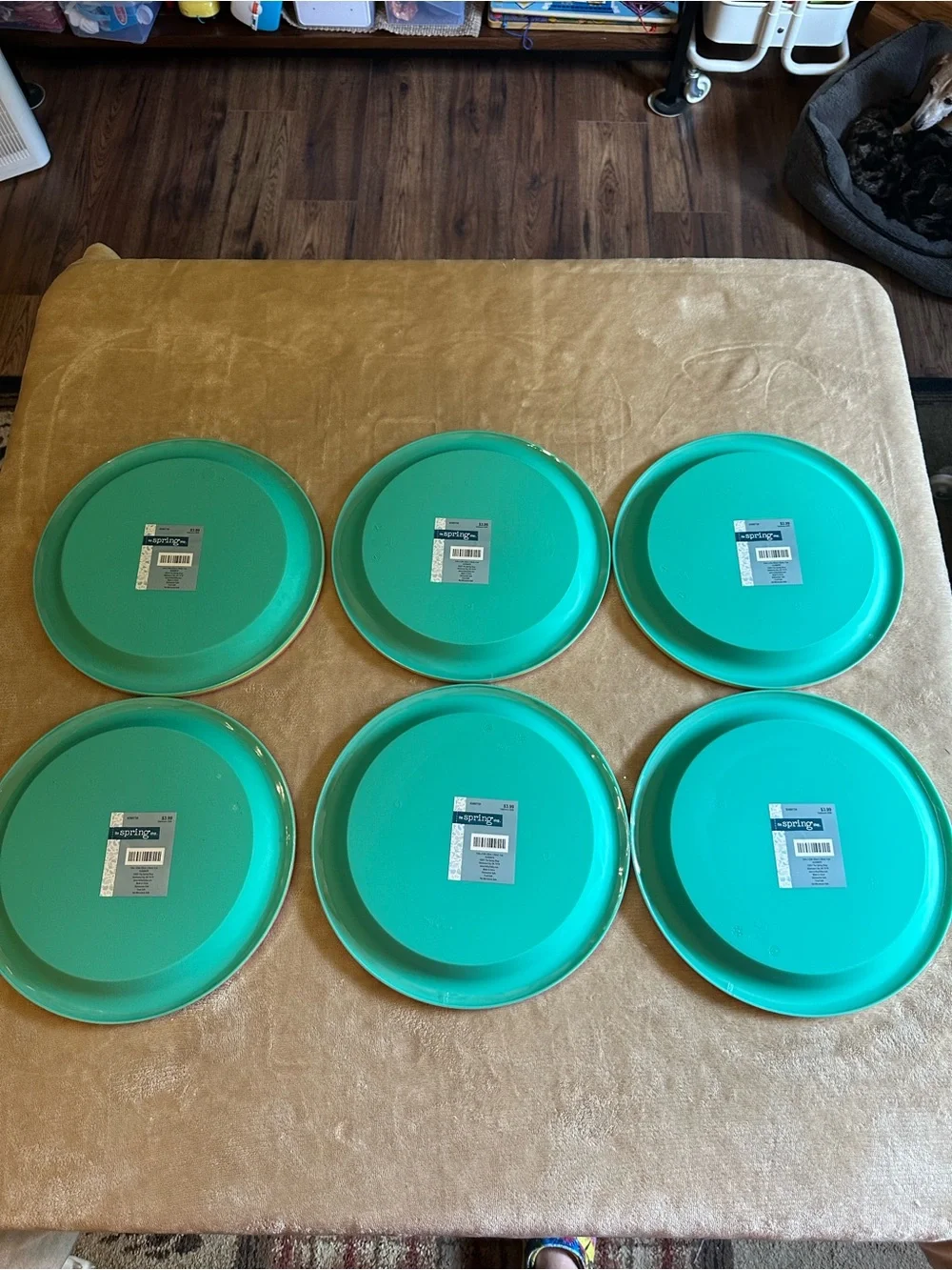 Bright Colored Plastic Plates - Set of 24